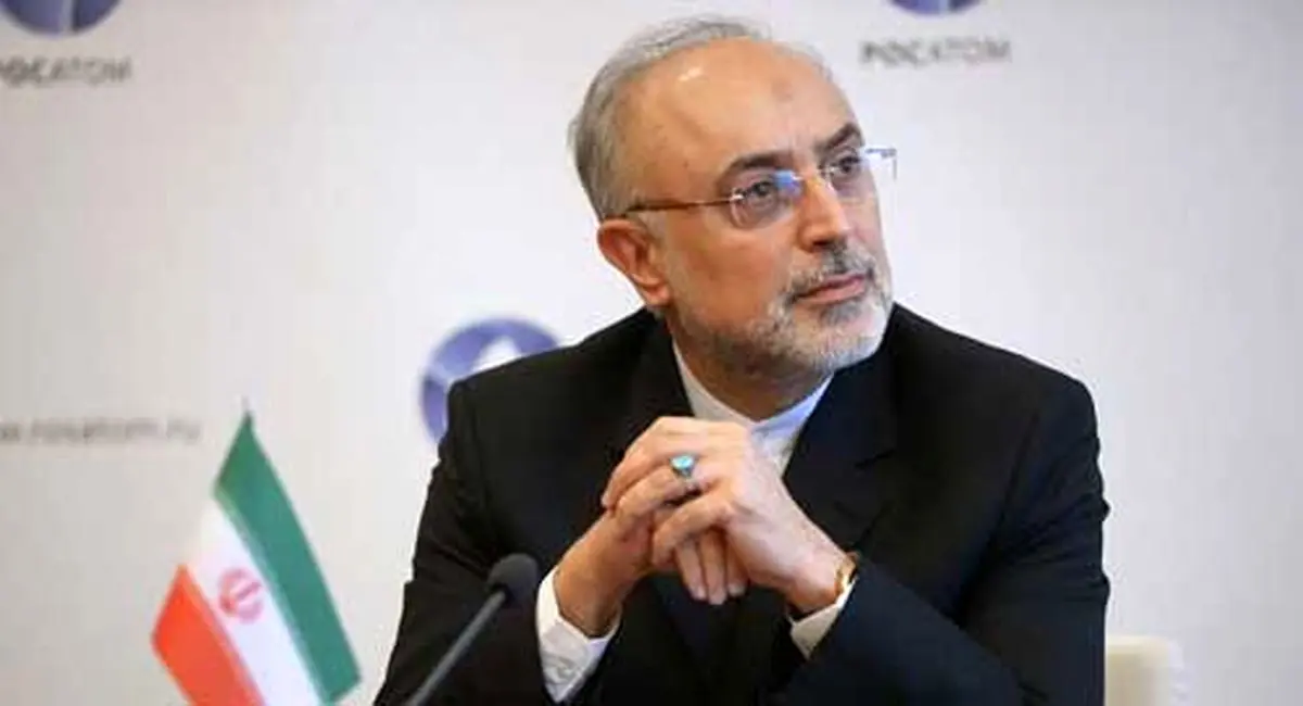 صالحی:مواضع کلامی احمدی‌نژادبا رویکرد فکری‌اش تعارض دارد