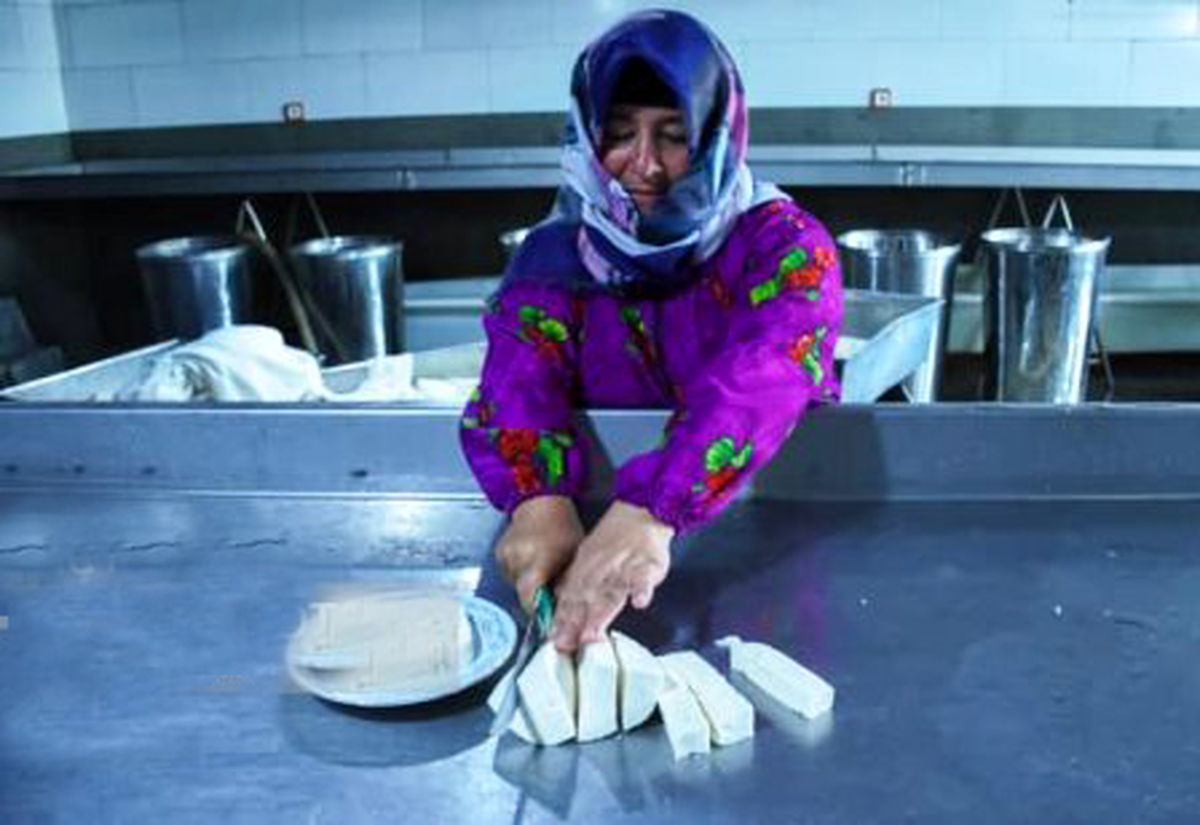 صنعت پنیر؛ از ‌‌پنیر گچی تا پنیر پیتزا و خامه‌ای