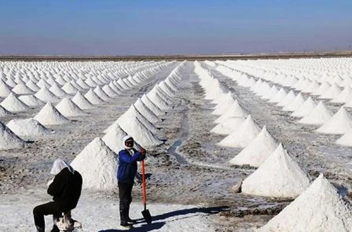 نمک ساده و این همه تنوع؛ از هیمالیا تا فرانسه