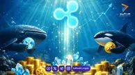 نهنگ‌ها در حال انباشت ۲۳۰ میلیون ریپل؛ جهش ۲۰ درصدی XRP چه پیامی دارد؟