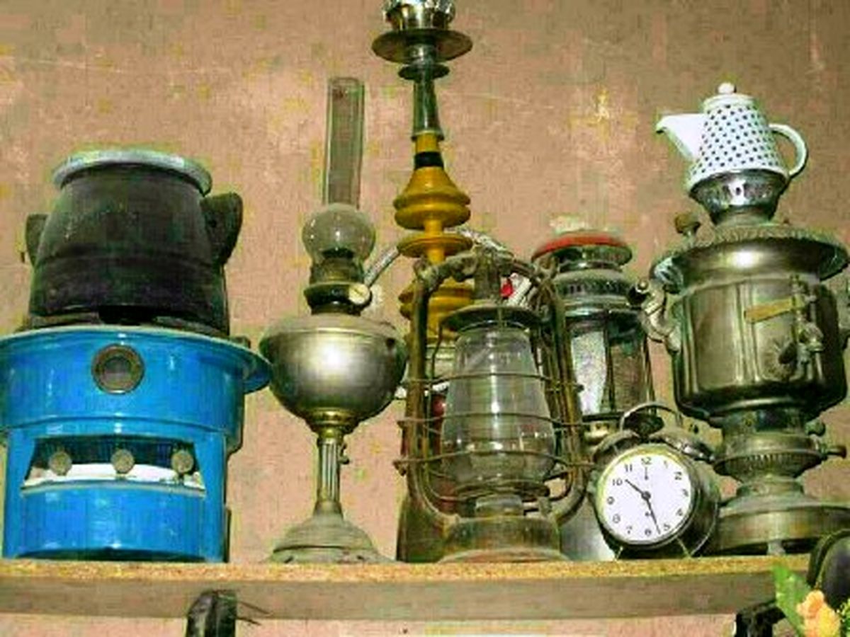 پرواز سنجاقکهای سمج دور نور چراغ زنبوری