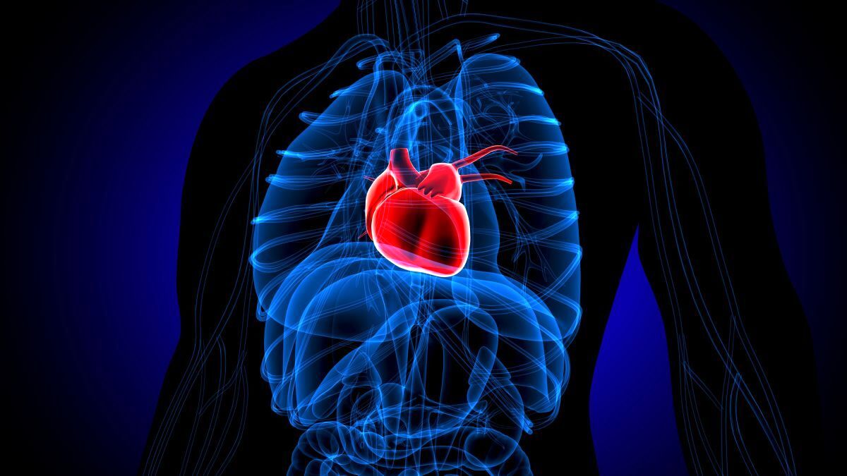 احتمال حمله قلبی در کدام روز هفته بیشتر است؟