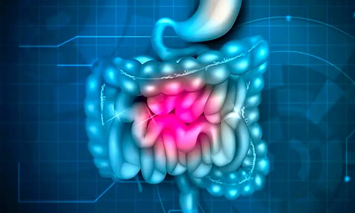 عاداتی که به سلامت روده آسیب می‌زنند