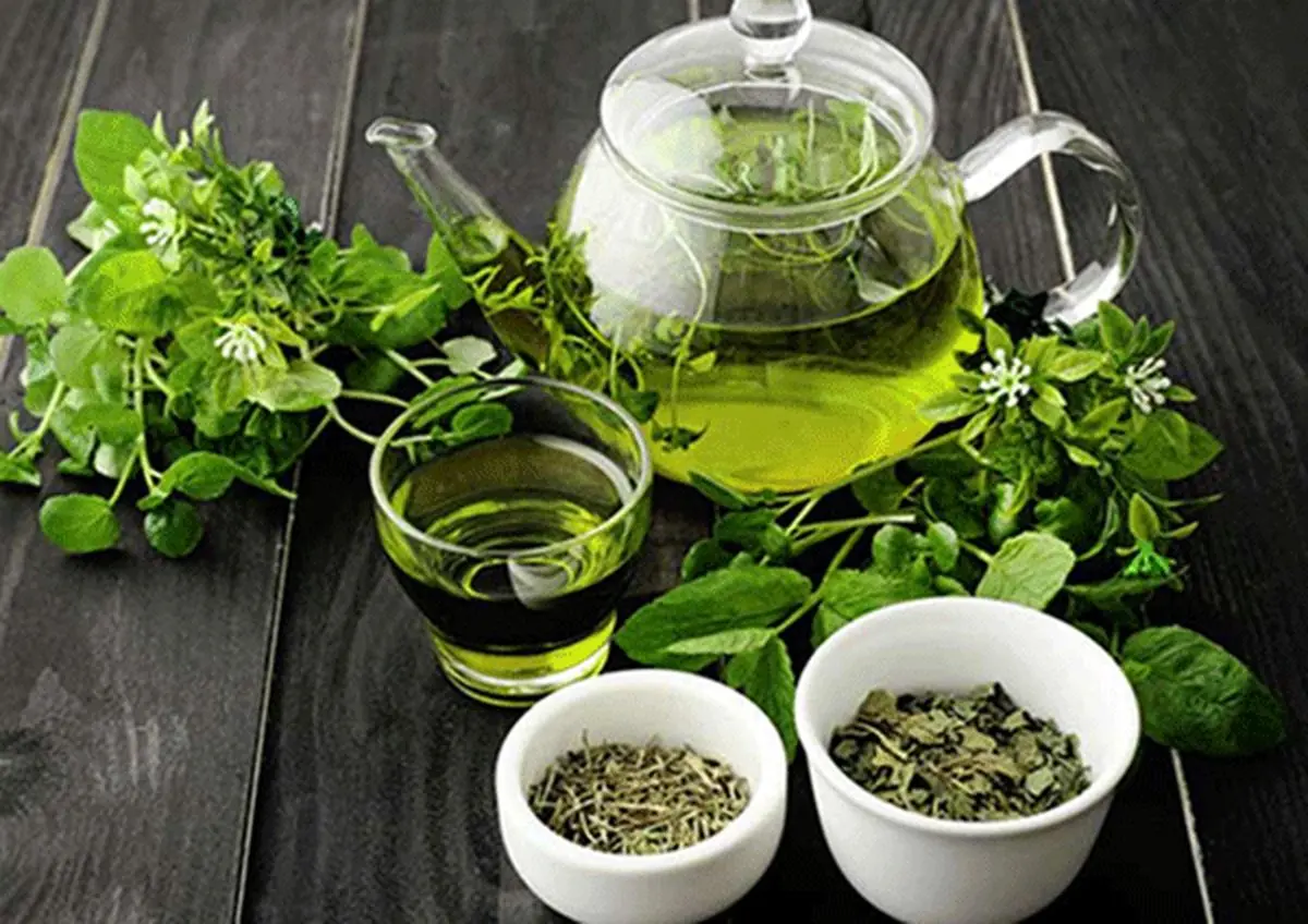 تحقیق جدید: چای سبز دشمن کروناست