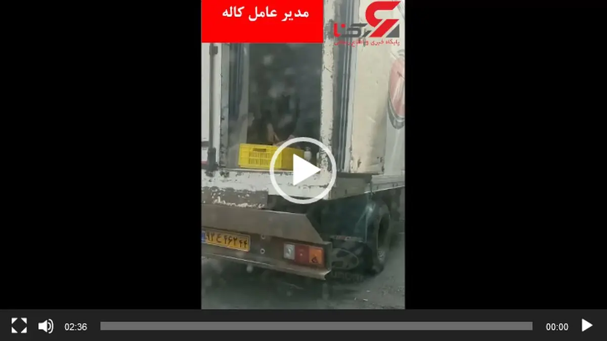 ببینید| واکنش مدیرعامل شرکت کاله به انتشار یک فیلم