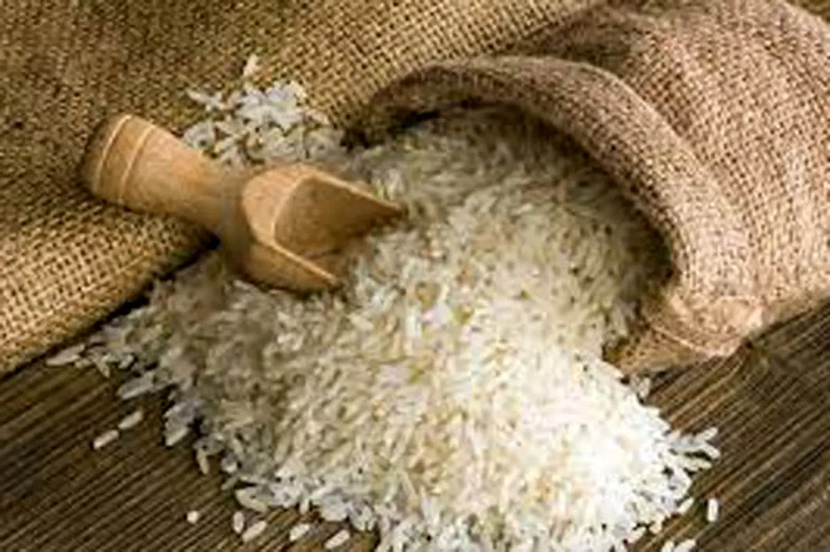 ببینید | جنایت کثیف علیه مردم؛ برنج با طعم لاستیک!