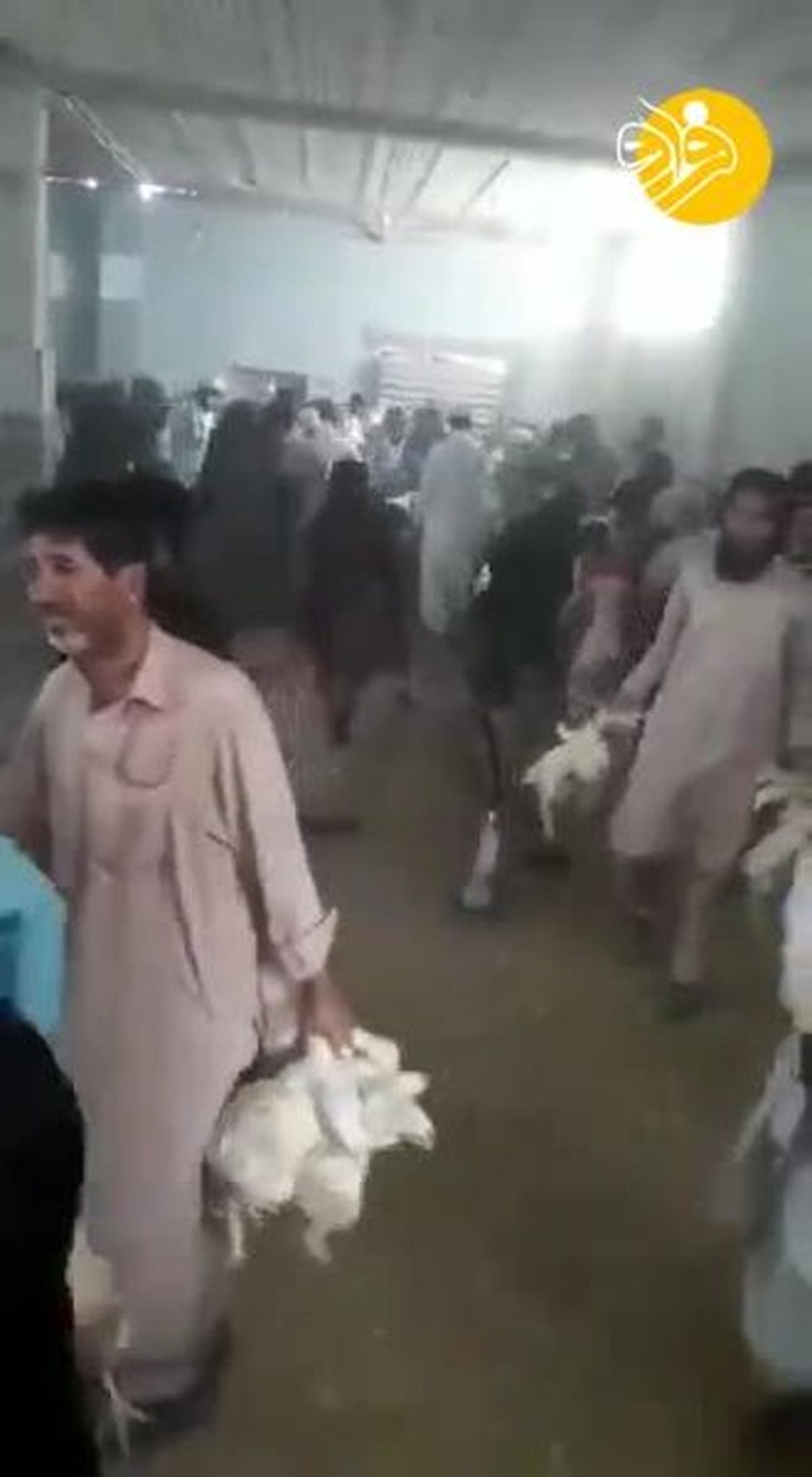 ببینید | هجوم مردم به یک مرغداری در نیکشهر
