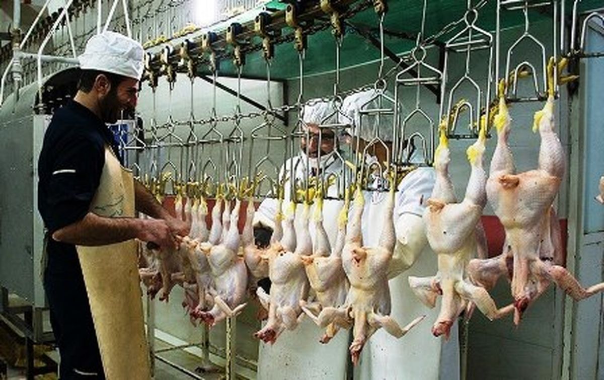 شورش مرغ علیه شاخصهای پنج ساله اقتصاد