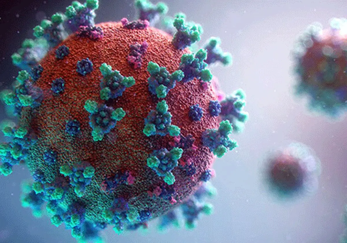 عاملی که موجب ابتلا به نوع شدید کرونا می‌شود