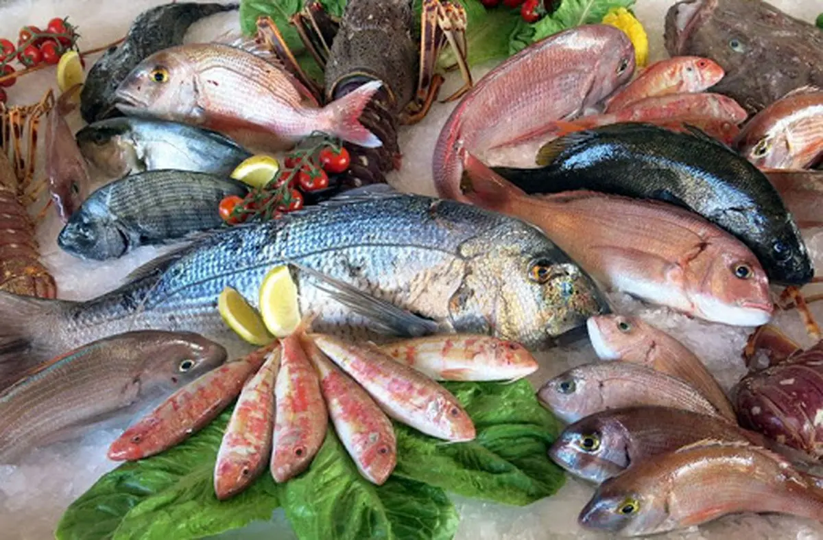 سرانه مصرف آبزیان در کشور چقدر است؟