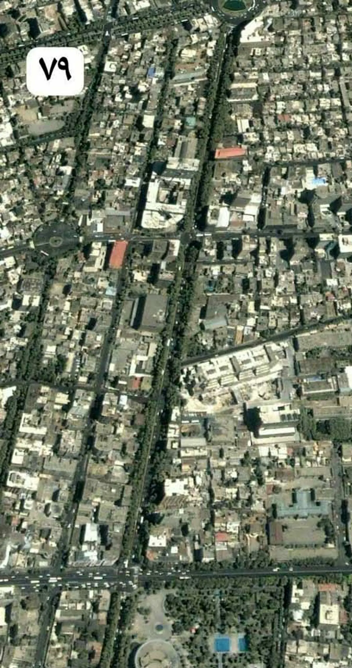 ناپدیدشدن چنار‌های ولیعصر در ۲۰سال