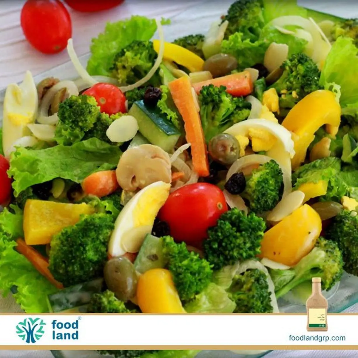 پنج ماده غذایی عالی برای کاهش استرس