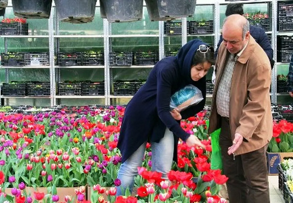 یادداشت آنالی اکبری‌| وقت گل دادن است
