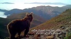 کلیپی زیبا از تنوع زیستی در منطقه البرز مرکزی