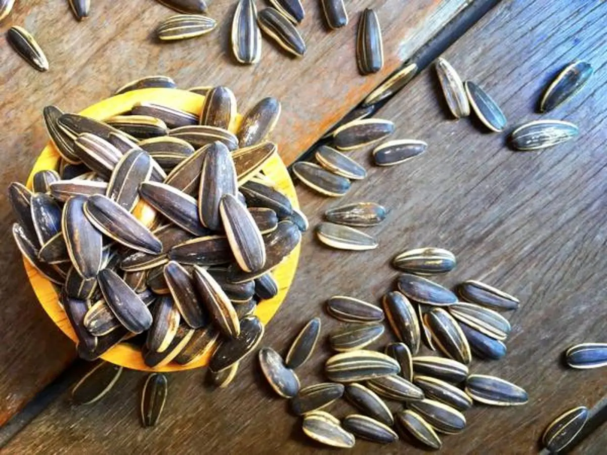 تخمه به جمع تنقلات لوکس پیوست