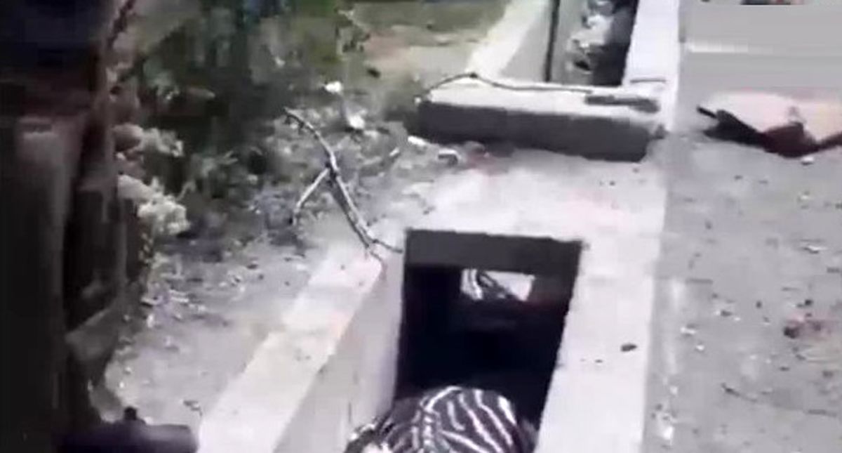 اینستاگرد؛ مرگ گورخر هلندی در باغوحش صفادشت