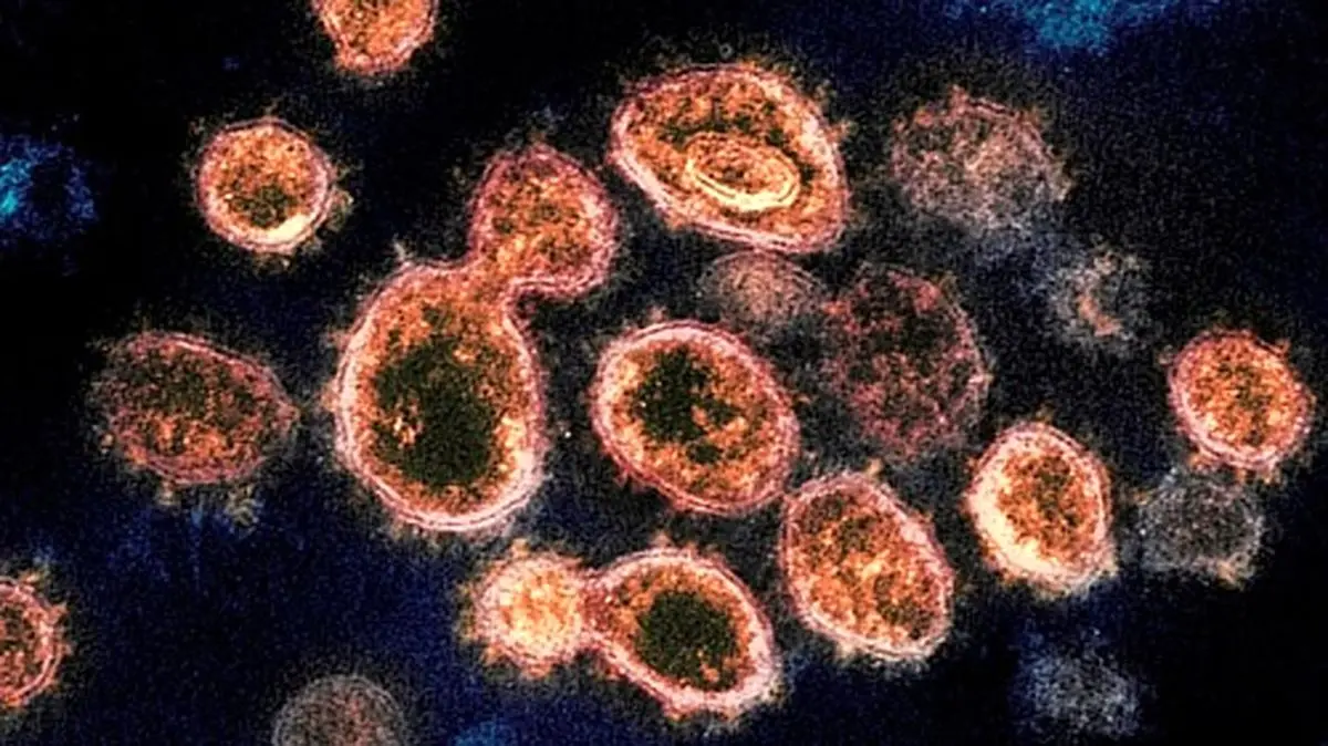 پادتن کرونا تا یک سال در بدن مبتلا باقی می‌ماند؟