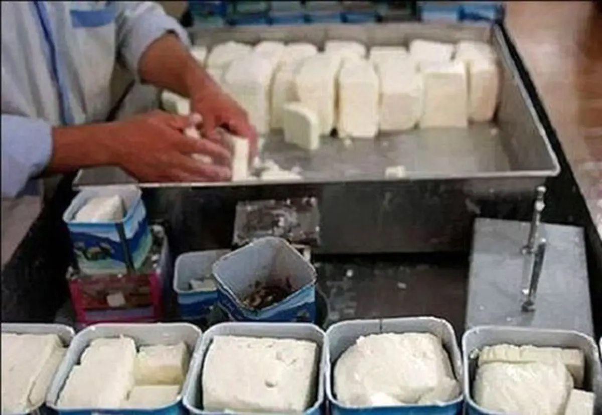 قیمت پنیر از ۱۰۰هزار تومان گذشت