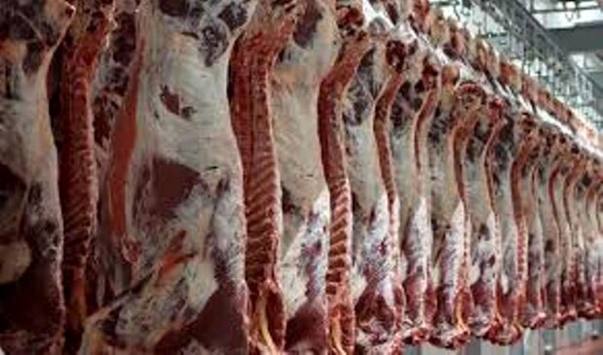 قیمتهای جدید گوشت را ببینید