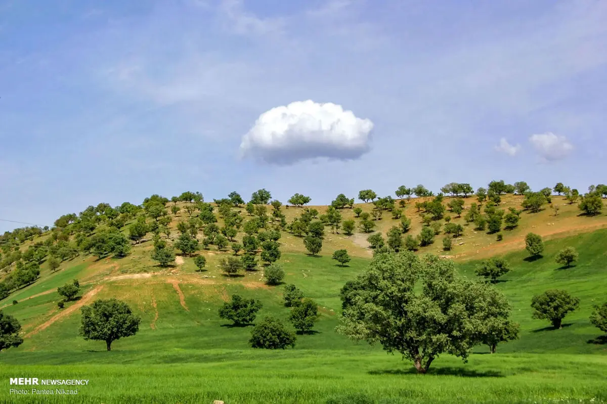 بشنوید| شش دقیقه و ۳۵ثانیه دور از تلخی‌ جهان