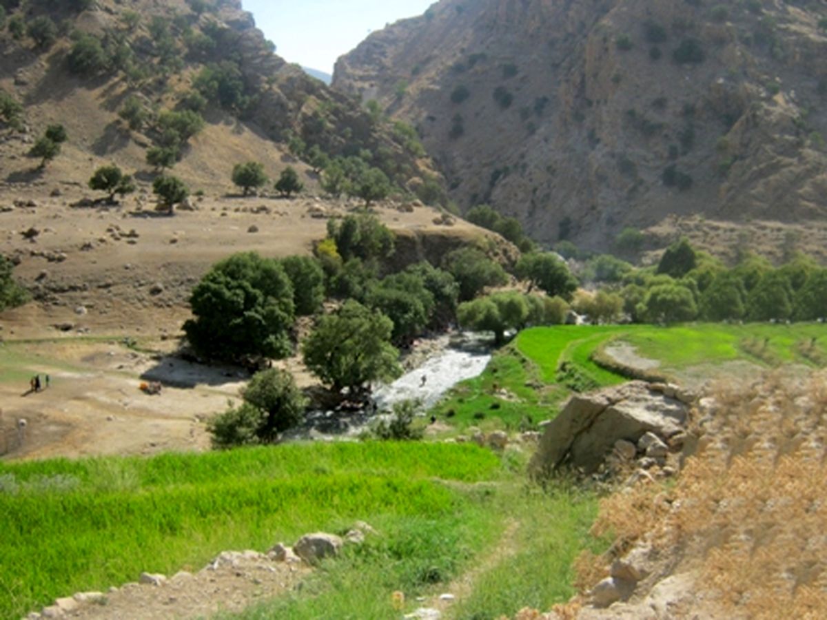 دلیل باورنکردنیِ پایکوبیِ مردم باغملک در خوزستان