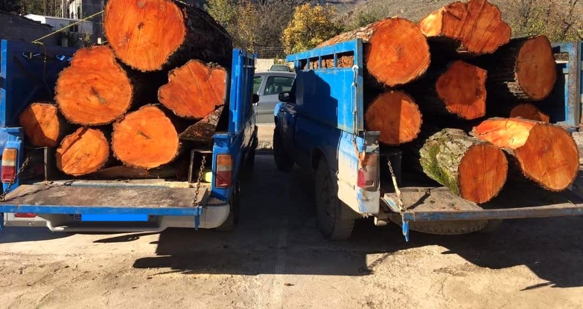 حمله چوب‌بُرها به خبرنگاران در«والی‌سرای شفت»