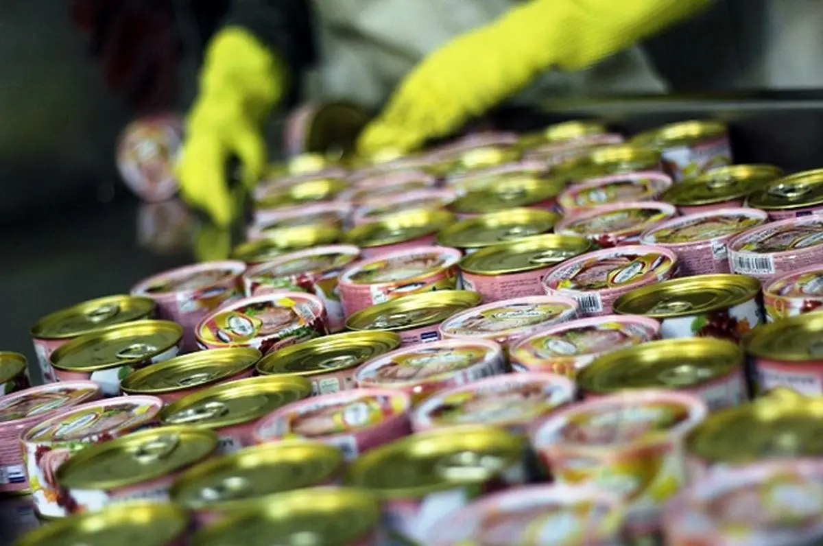 تن ماهی؛ غذای لوکس امروز، محبوب سابق دانشجوها