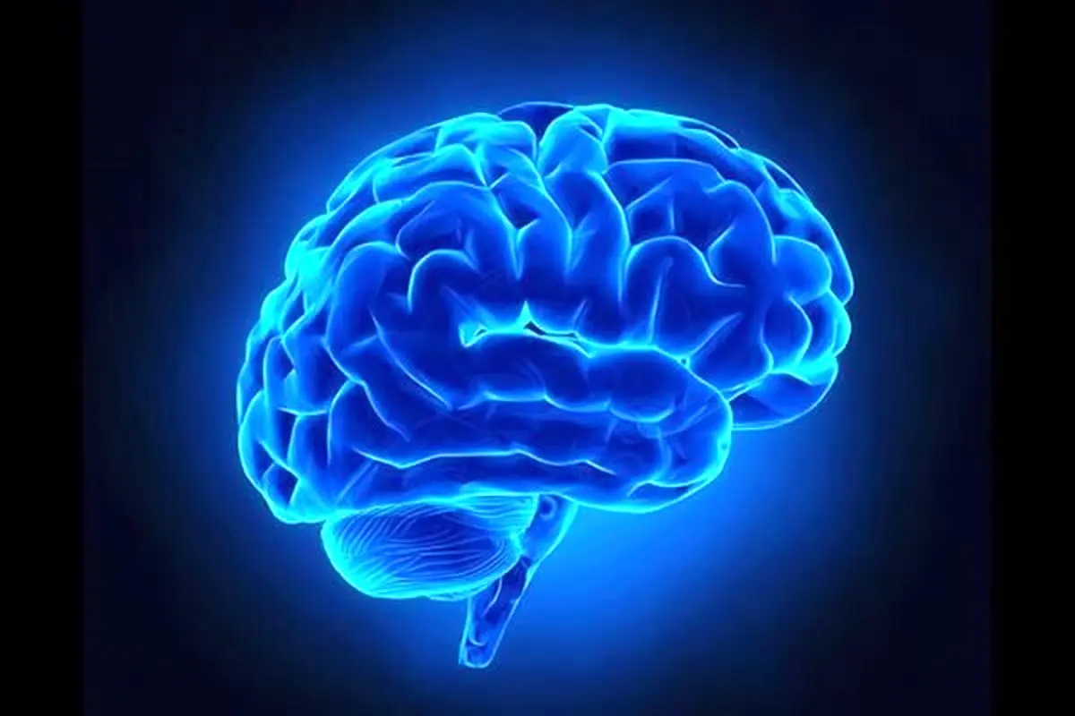 هفت راه برای کاهش سرعت پیری مغز