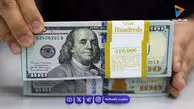 قیمت دلار حواله‌ای در ۲۵ بهمن ثابت ماند؛ آیا روند پایدار خواهد بود؟