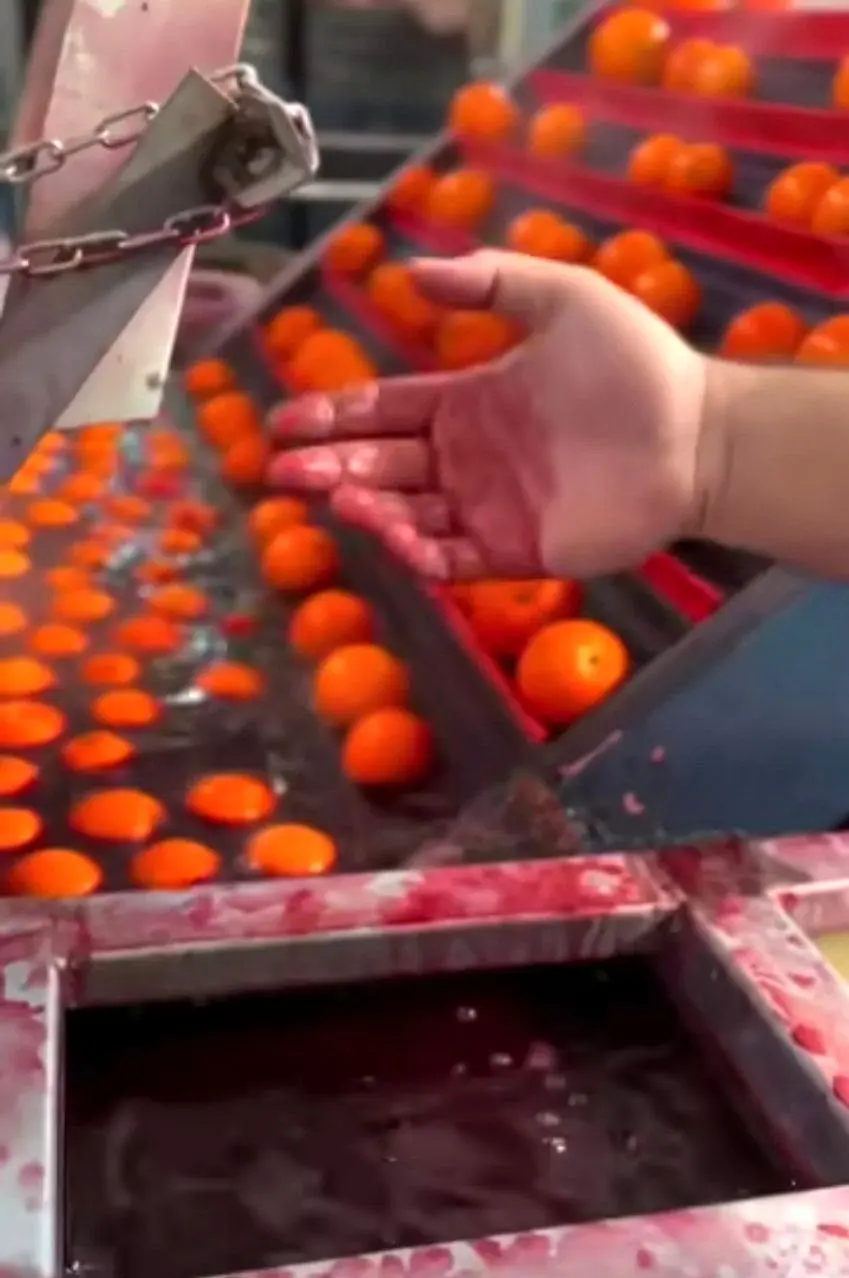 سازمان غذا و دارو , وزارت بهداشت , بهداشت و درمان , بازار میوه , 