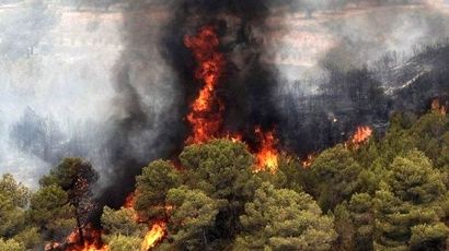 آتش‌سوزی گسترده منابع طبیعی سولک صیدون مهار شد