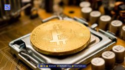 چالش‌های جدید در ماینینگ بیت کوین: کوچکترها از میدان خارج می‌شوند