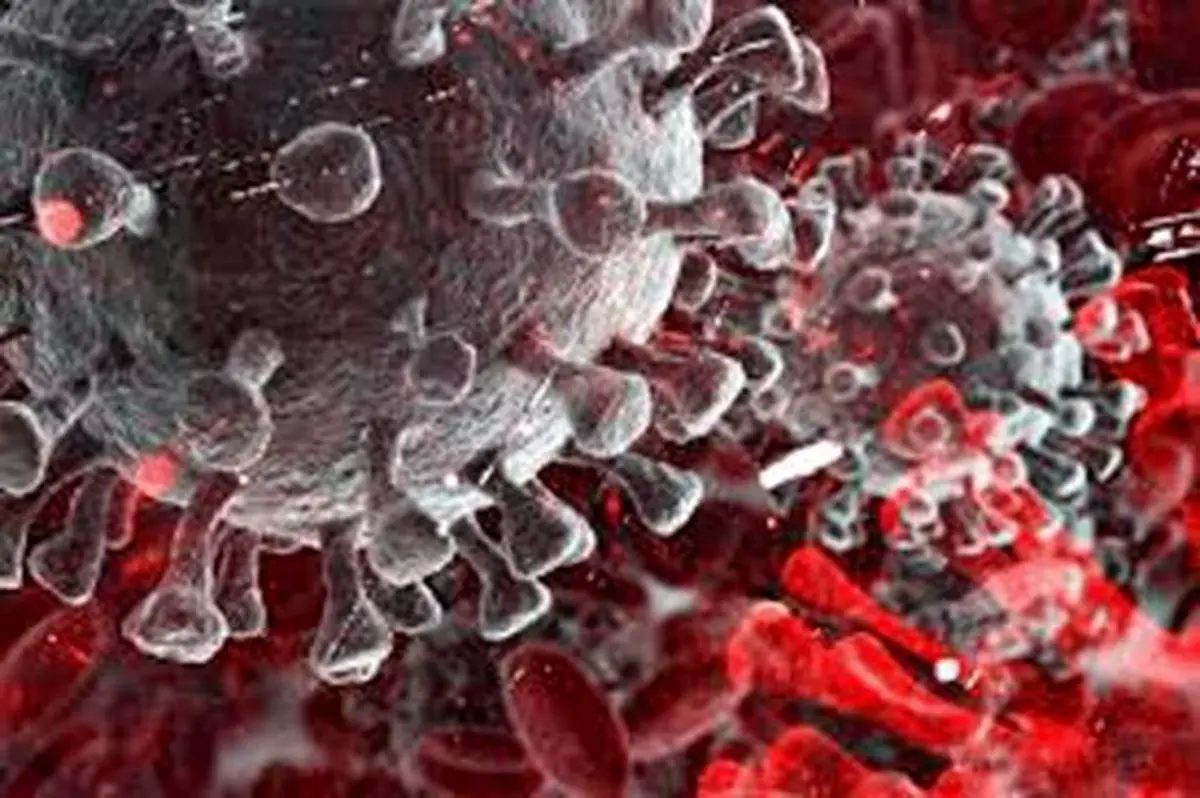 احتمال شروع موج پنجم کرونا در این شهرها