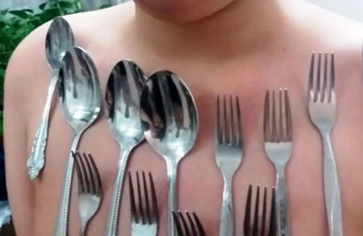 لطفا با قاشق و چنگال به جنگ علم نروید
