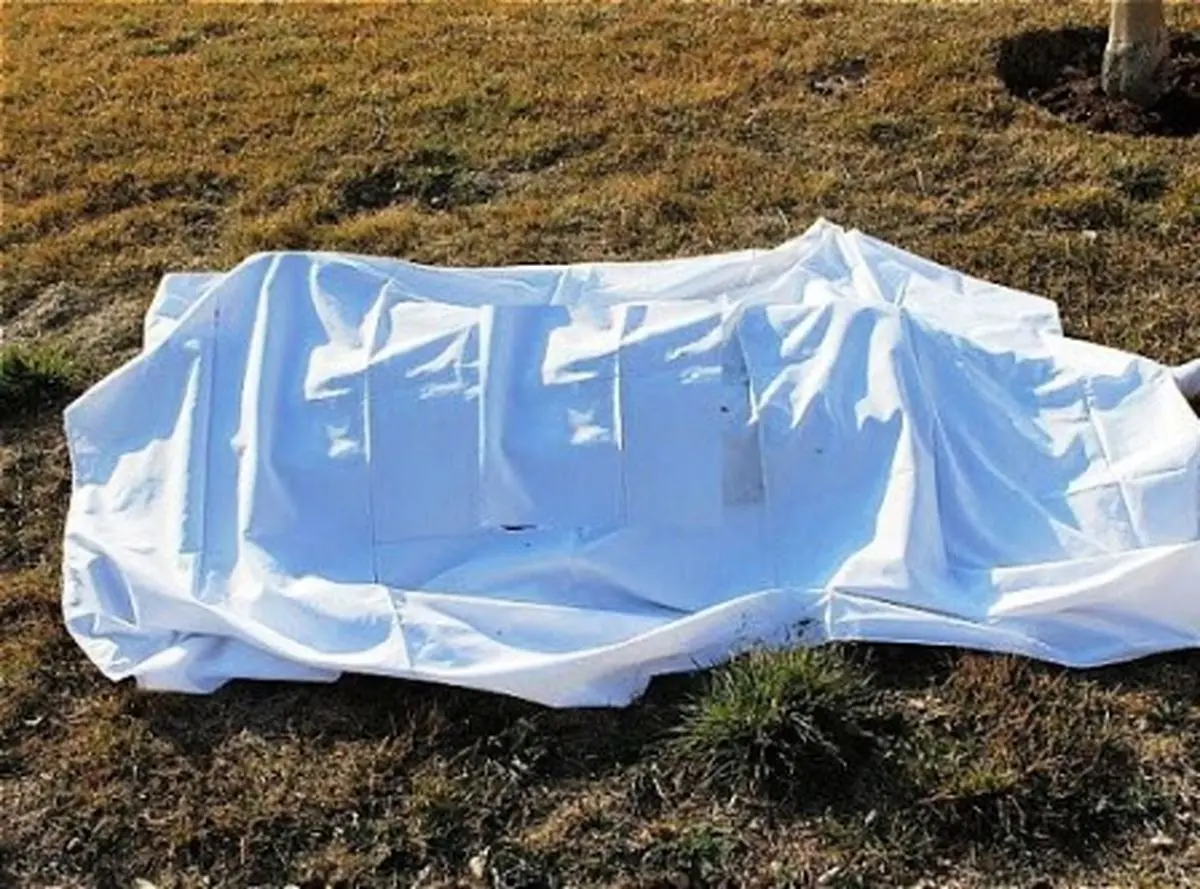 ‌کشف جسد زن میانسال قزوینی در جاده بوئین‌زهرا