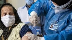 واکسن‌های کرونای ایرانی در چه مرحله‌ای قرار دارند؟