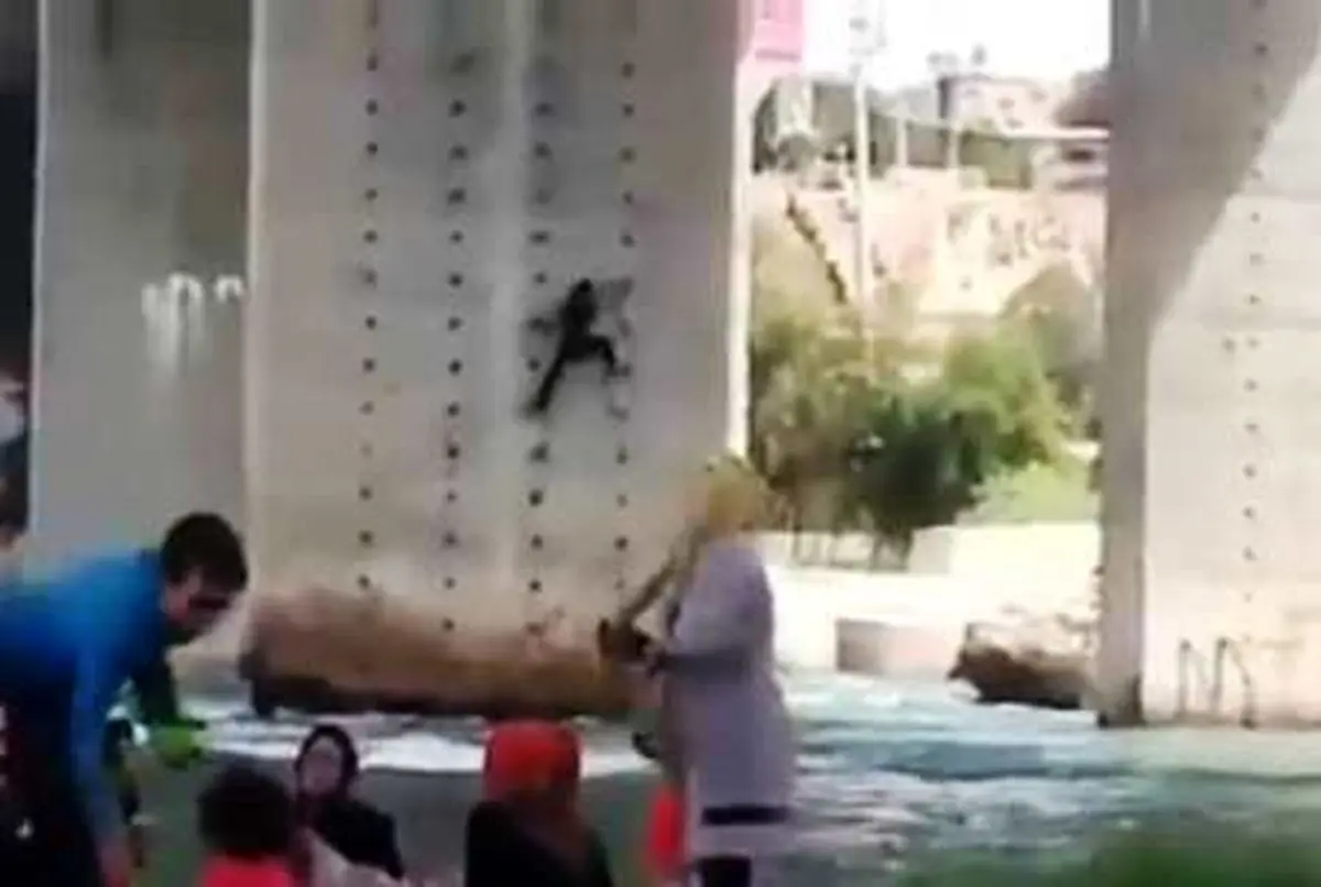 در ‌جستجوی زن ‌عنکبوتی روی پل دزفول