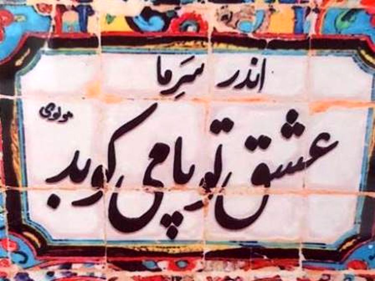 عکسهای فان هفته کاربران در فضای مجازی