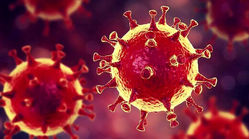 پنج حقیقت ترسناک درباره ویروس کرونا نوع دلتا