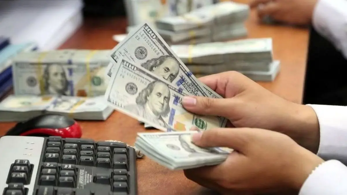 درآمد ۲۰۰ تا ۵۰۰ هزار تومانی برای ایستادن در صف دلار