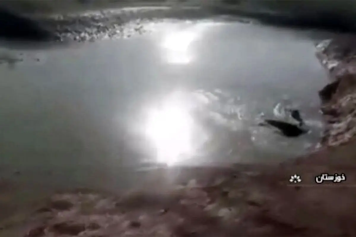 ببینید | پیدا شدن کوسه در رودخانه کرخه!
