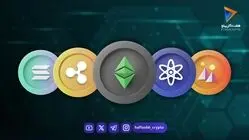  قیمت آلت کوین ها امروز ۲۹ شهریور ۱۴۰۵ 