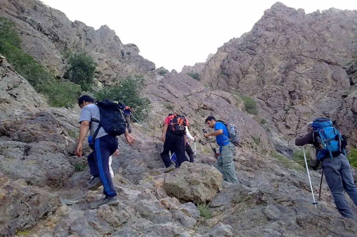 ‌اشتباه از یک درددل ساده در یک دورهمیِ ‌شروع شد
