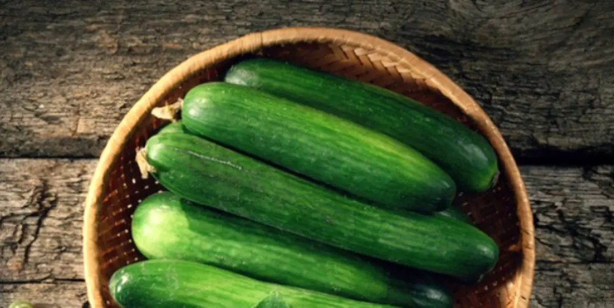 عجیب‌ترین عوارض زیاده‌روی در مصرف خیار