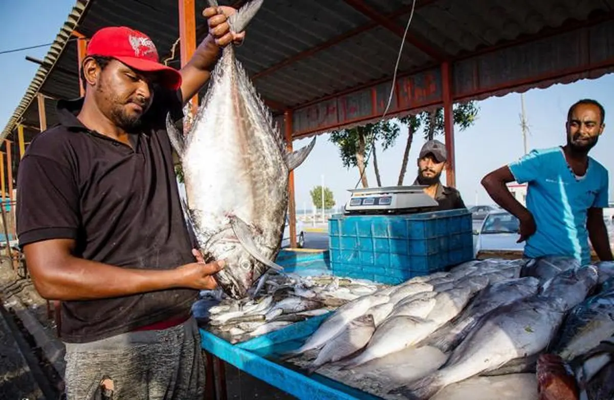 دلایل کم بودن مصرف آبزیان؛ فرهنگی یا اقتصادی؟