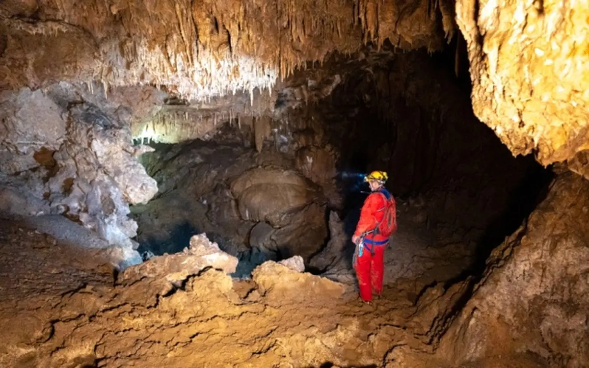 شواهدی بر وجود اجداد ۲۰هزار ساله کرونا