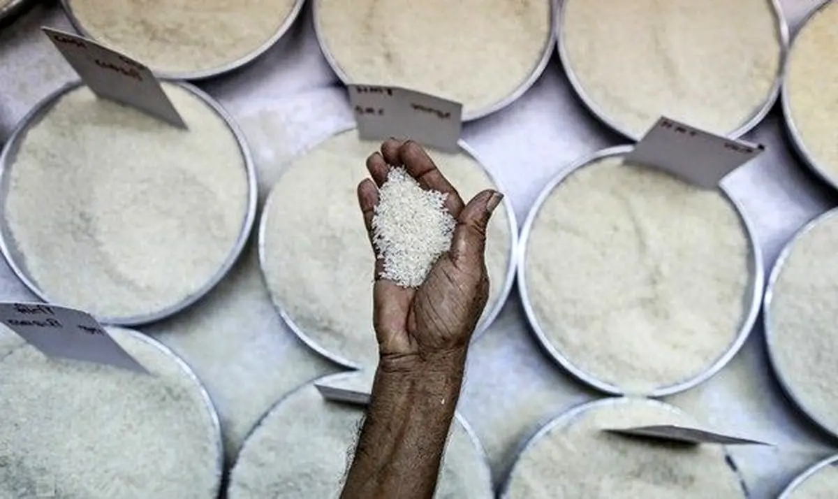 طغیان ناگهانی قیمت برنج، تخم‌مرغ و گوشت گوساله