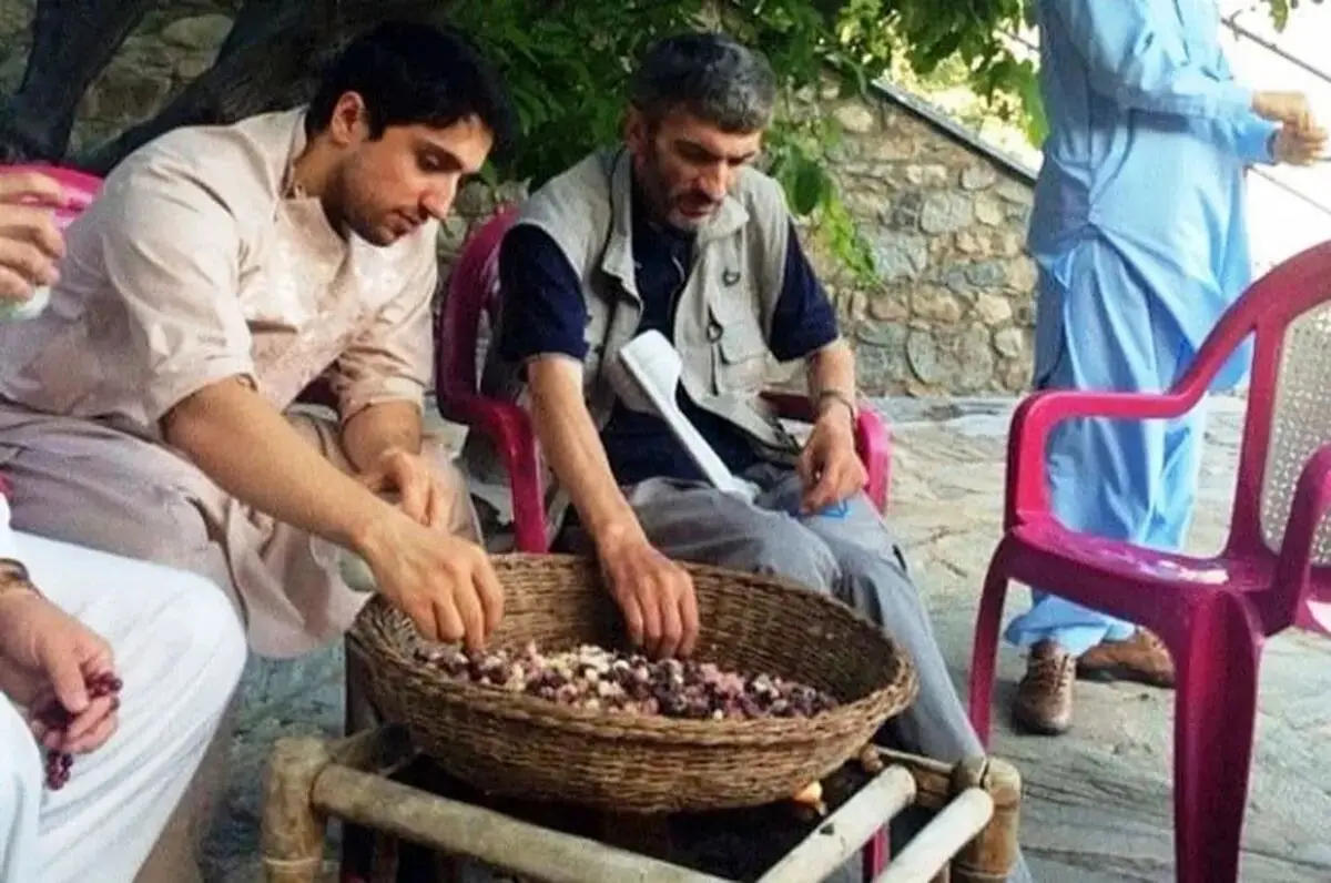 نبرد در پنجشیر؛ دوئل تئوریک در تهران
