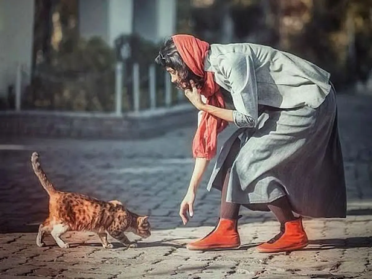 هفت باور اشتباه و پرتکرار درباره سگ و گربه