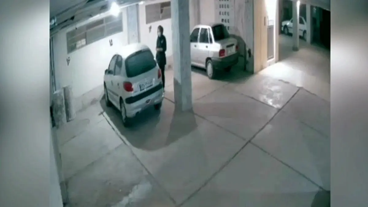 ببینید | سرقت ماهرانه از ۲۰۶ توسط زن جوان